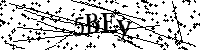 Будь ласка, введіть літери та цифри нижче