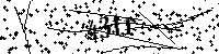 Будь ласка, введіть літери та цифри нижче