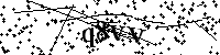 Будь ласка, введіть літери та цифри нижче
